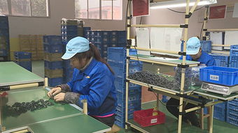 澤瀚實業(yè) 項目生產(chǎn)忙，平面設(shè)計鑄就品牌新篇章